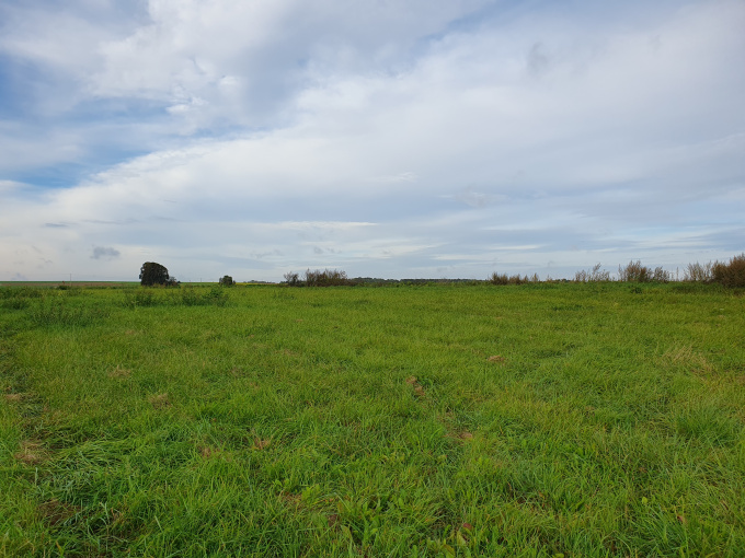 Offres de vente Terrain à batir Picquigny (80310)